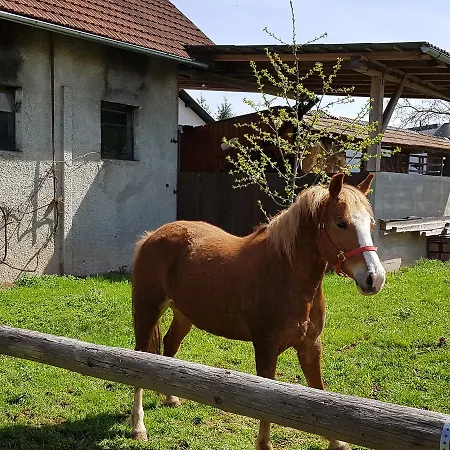 Manca Appartement Ljubljana
