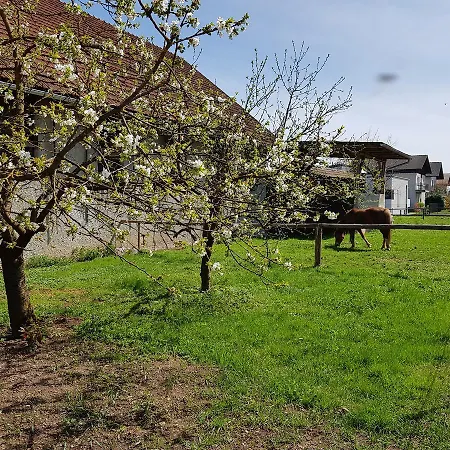 Manca Appartement Ljubljana